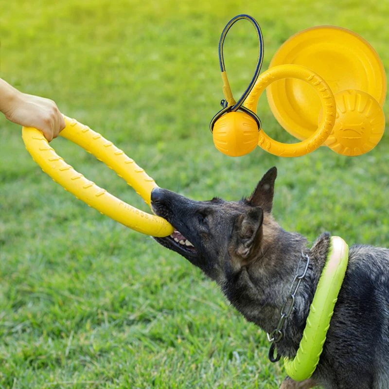 Discos voladores para mascotas, anillo de entrenamiento, extractor, juguetes para perros grandes, pelota para masticar resistente a mordeduras, juguete flotante para cachorros, suministro interactivo - imagen 2