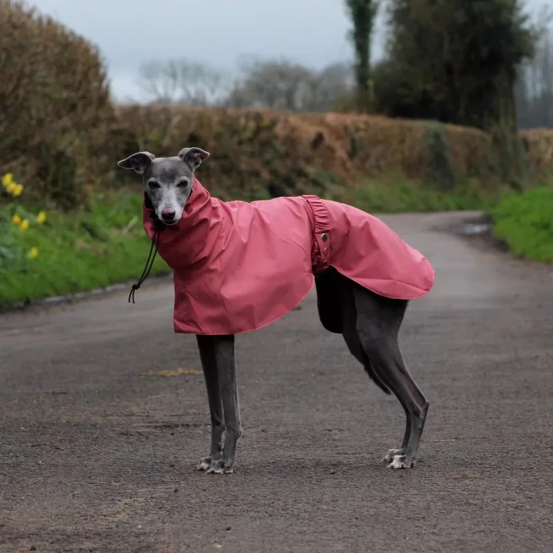 Ropa impermeable para perros, Poncho para perros, impermeable, abrigo de lluvia para perros grandes, accesorios para perros, rompevientos, suministros de productos - imagen 2