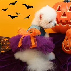 Disfraz Halloween perros Yorkshire – vestido calabaza con encaje