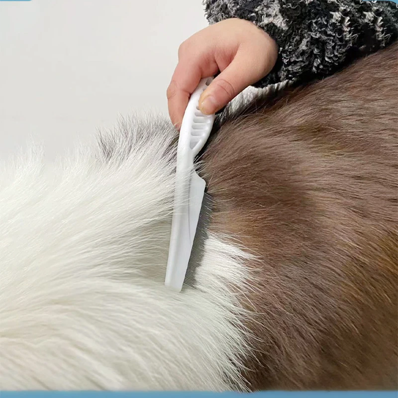 Peine para pulgas con protección para mascotas, peine de aguja de acero inoxidable para eliminación de gatos pequeños, peine dentado para pulgas, accesorios para gatos, herramienta de aseo - imagen 2