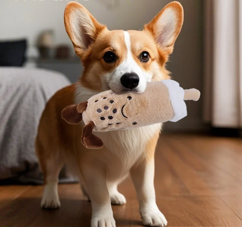 Perro con juguete Pawstrip