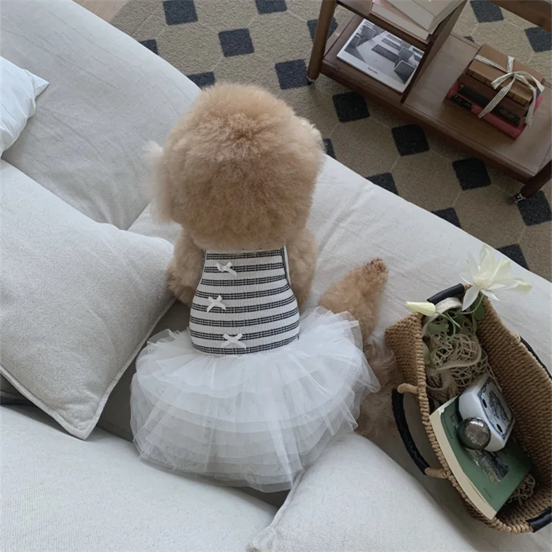 Vestido encaje negro princesa rayas para Teddy perros pequeños y gatos - imagen 5