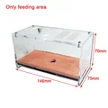 Only feeding area