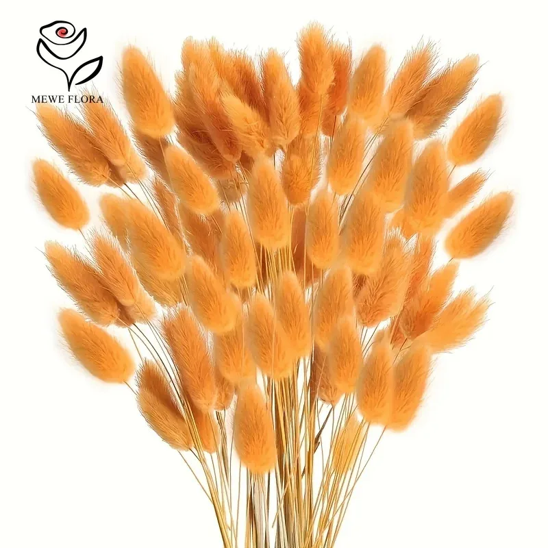 Adornos de acuario de hierba de cola de conejo seca Natural, decoración de pecera de otoño, paisaje subacuático DIY para el jardín del hogar, 60 uds. - imagen 2