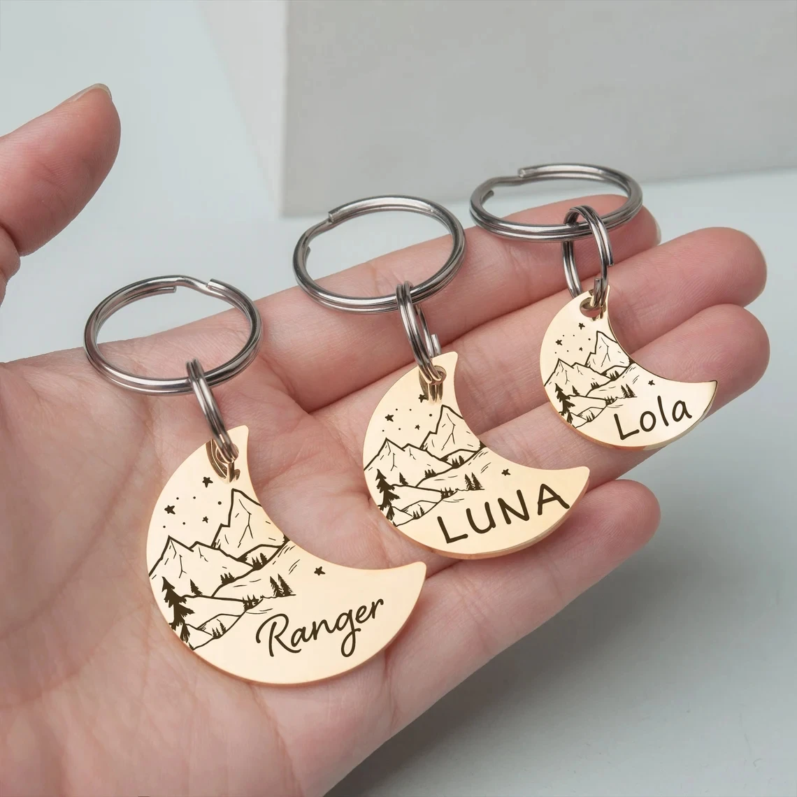 Etiqueta de identificación de perro y gato personalizada gratis, placas de Collar antipérdida para mascotas, accesorios, placa con nombre de Luna de colores grabables, dijes colgantes - imagen 2