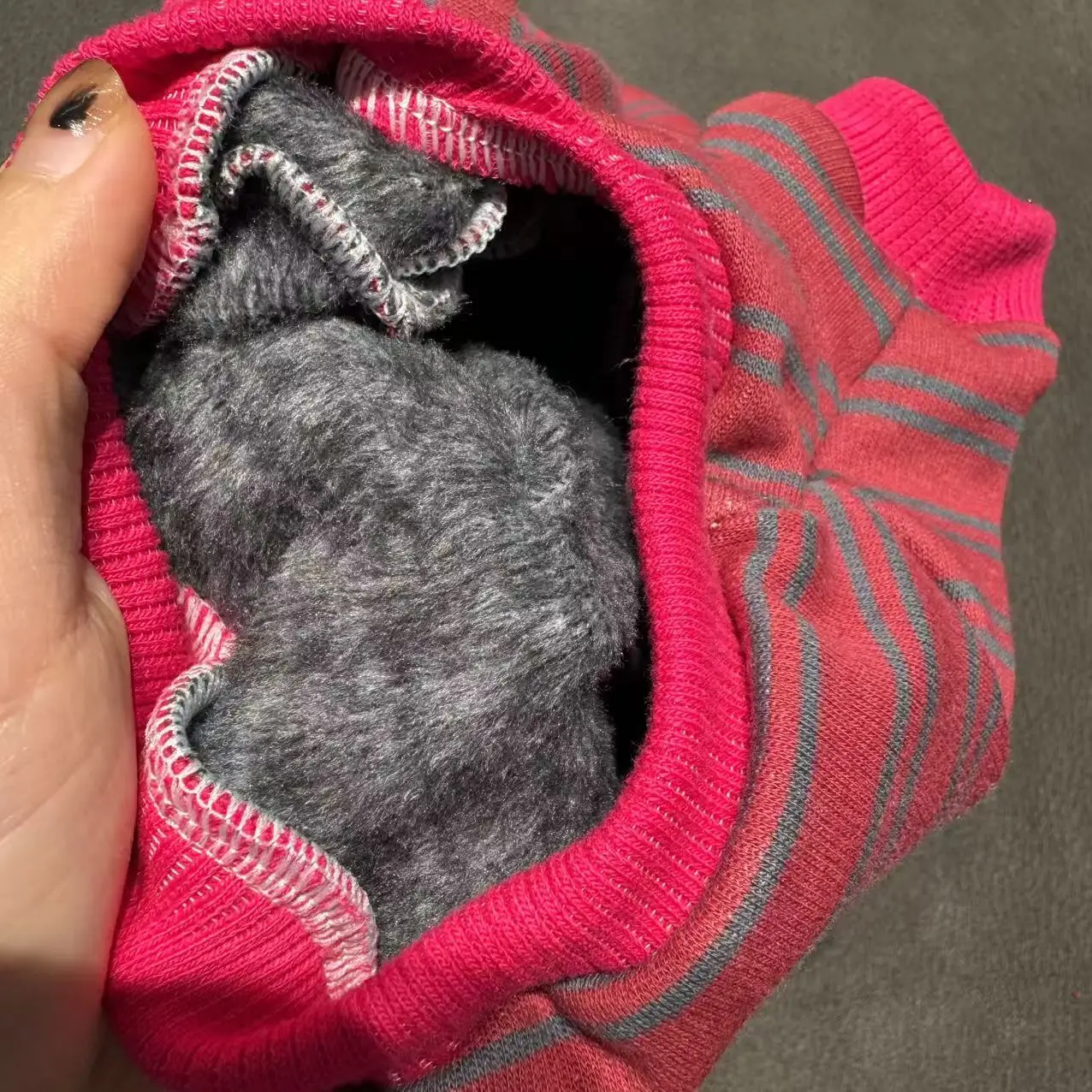 Sudadera de lana a rayas de 4 patas, traje con sombrero para gato Sphynx, abrigo rojo suave y cálido para invierno, disfraz de Año Nuevo para gatitos, Devon Rex - imagen 5
