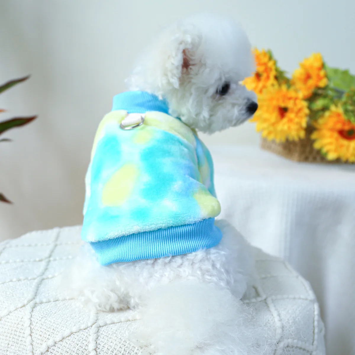 Suéter de lana cálido para perro, Sudadera con capucha para cachorro, traje de Chihuahua con anillo de correa, abrigo Yorkies para gato, perros pequeños, representación, nuevo - imagen 4