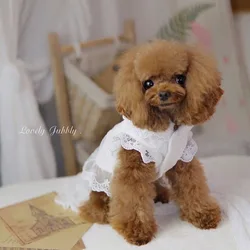 Vestido de encaje con mangas voladoras para mascotas, Top para gatos, vestido de princesa de encaje para primavera y verano, vestidos para perros pequeños, ropa para cachorros