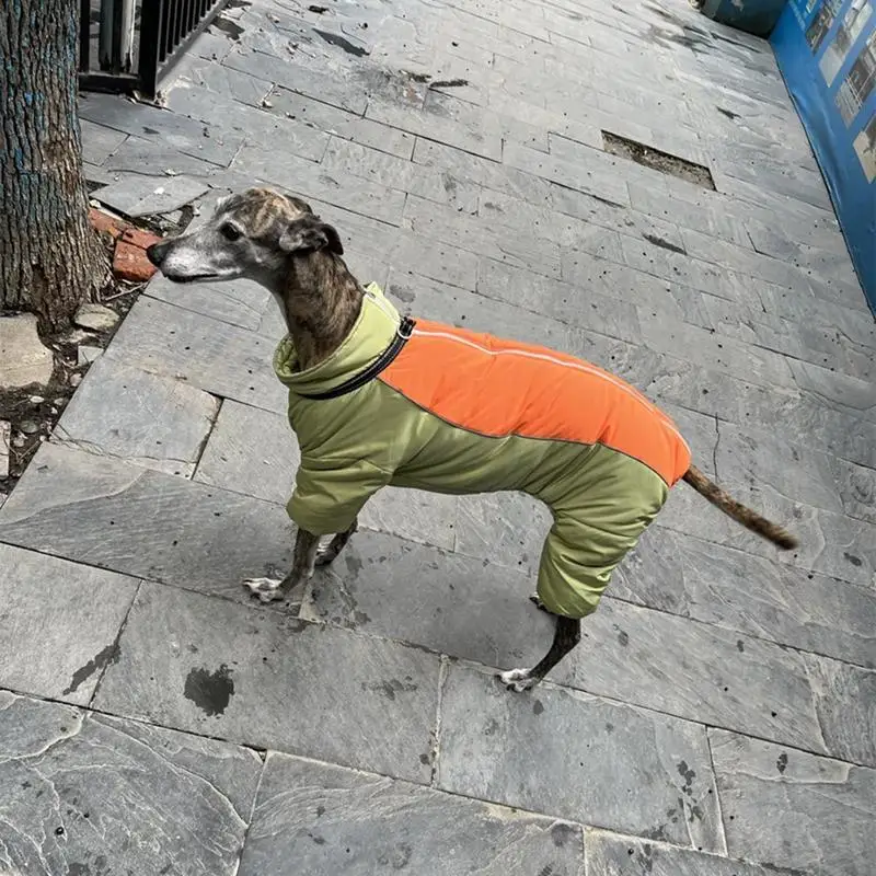 Ropa de invierno para perros grandes, abrigo cálido para mascotas, chaqueta impermeable, ropa Reversible para Galgo, Golden Retriever, ropa de Labrador - imagen 3