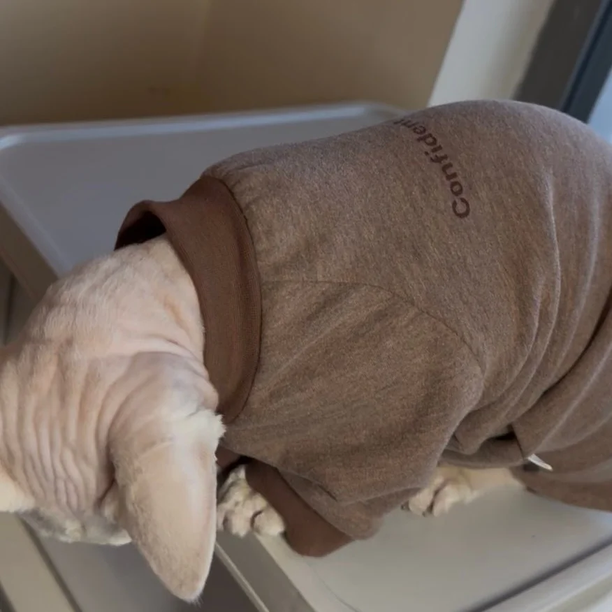 Mono suave invierno para gato Sphynx – Abrigo cálido de algodón - imagen 5