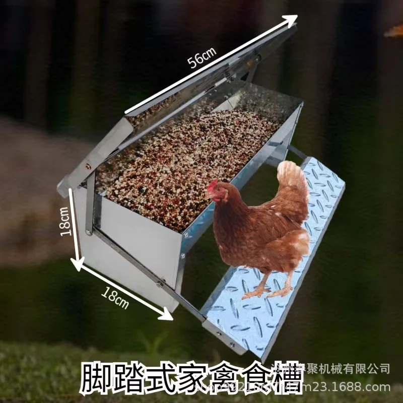 Canal para pollos con Pedal, artefacto para levantar pollos de acero inoxidable, alimentación automática, pato, ganso, aves de corral, canal Universal - imagen 5