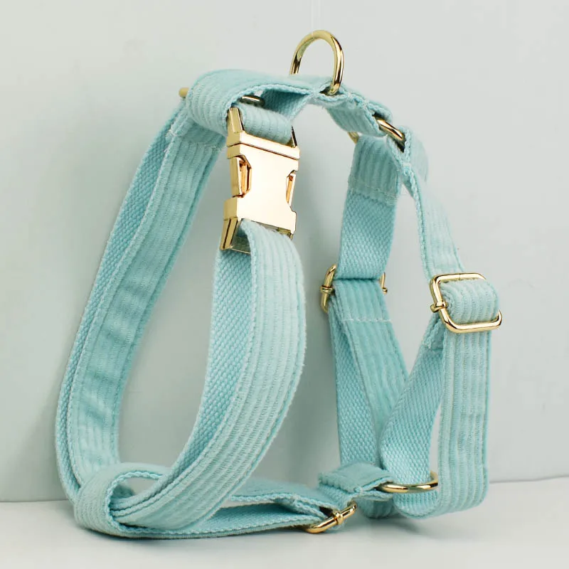 Juego de Collar y correa para perro de pana verde lago para perros, placa con nombre grabada personalizada, suministros para mascotas, correa para perro de pana 19 - imagen 2