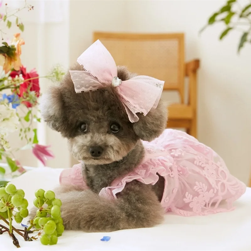 Vestido de princesa con mangas voladoras de encaje para primavera/verano para mascotas, ropa fina para perros y gatos, tocado con lazo, ropa para perros pequeños - imagen 2