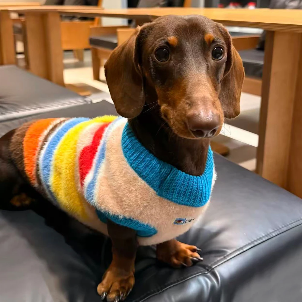 Suéter para perros Dachshund con rayas arcoíris - abrigo de invierno - imagen 3