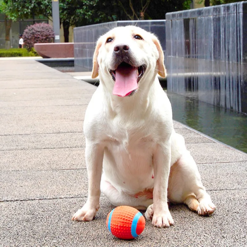 Bola de látex para saltar, juguetes para perros, juguete para moler dientes resistente al masticable, suministros interactivos para juegos de interior para cachorros, productos de entrenamiento para lanzar mascotas - imagen 2