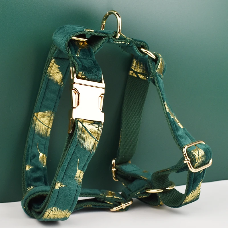 Juego de Collar y correa de terciopelo de plumas verdes para perros, placa de identificación grabada personalizada, suministros para mascotas, 25 - imagen 2
