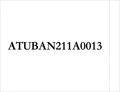 ATUBAN211A0013