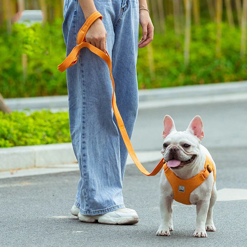Correa acolchada para perro pequeño y grande – Resistente y sin enredos - imagen 4