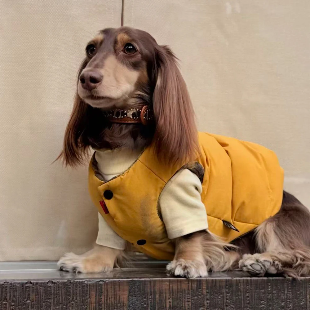 Chaqueta forro polar cortavientos con botones perro Dachshund - imagen 3