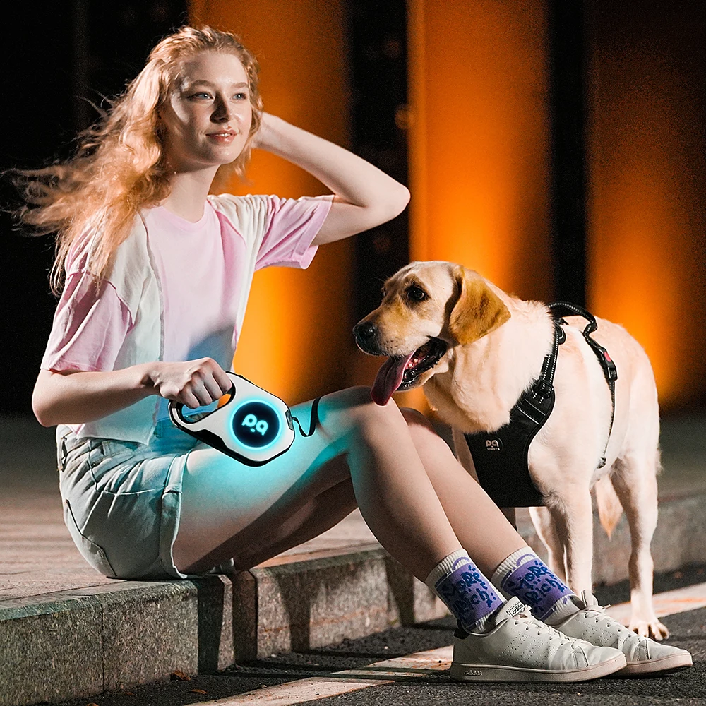 Correa retráctil automática para perros grandes, 5M, iluminación LED para perros medianos y grandes, cuerda de plomo de nailon duradera para caminar, correas para mascotas - imagen 5