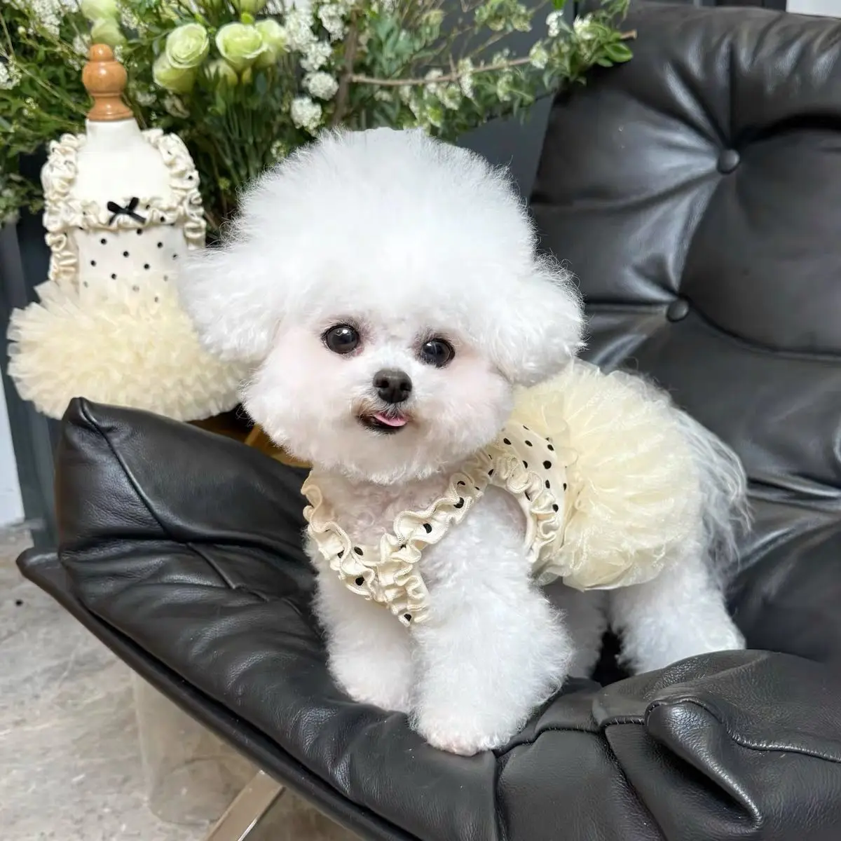 Vestido princesa floral transpirable para gatos y perros pequeños - imagen 2