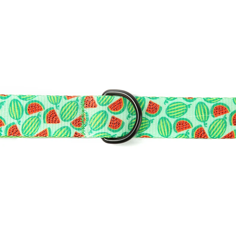 PLATTCO Correa para perro personalizada WATERMELON FEAST, correa para cachorros con estampado de nailon de imitación para perros pequeños, medianos y grandes, 5 tamaños PDL325 - imagen 3