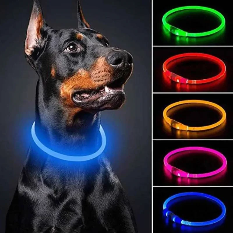 Collar LED USB perros gatos - Vista principal