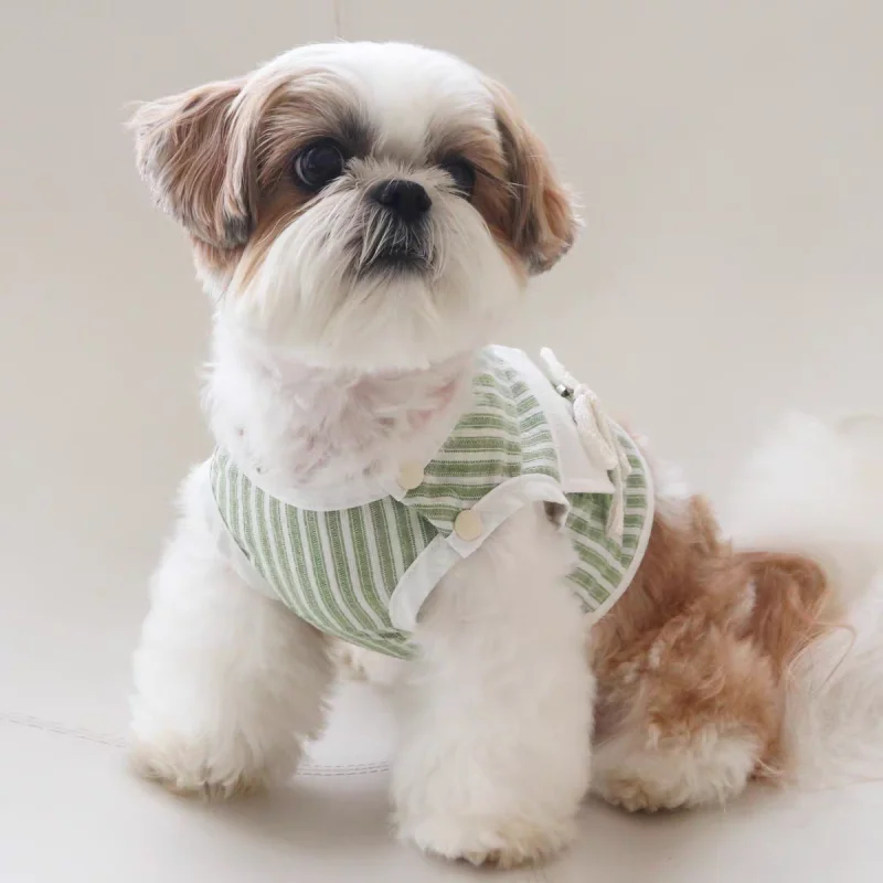 Ropa para perros con sombrero, conjunto de chaleco para mascotas, camiseta a rayas para perros, disfraz bonito para cachorros y gatitos, Chihuahua Bichon, ropa refrescante para niñas con hebilla - imagen 4