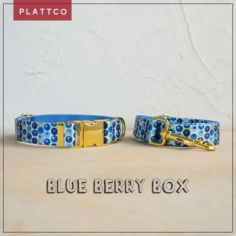 Conjunto para perro diseño único estampado y hebilla dorada