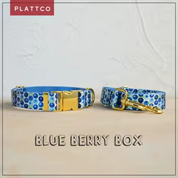 Conjunto para perro diseño único estampado y hebilla dorada