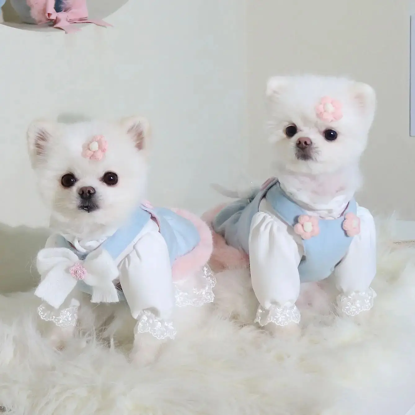 Instagram-vestido de invierno para perro, falda de lana azul y rosa, dobladillo de piel de conejo, orejas de oso, cuello Halter, sombrero de perro, pinzas para el pelo - imagen 5