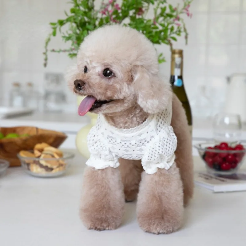 Ropa de encaje con forro de encaje para perros pequeños, camisa de diseño para cachorros, Invierno - imagen 3