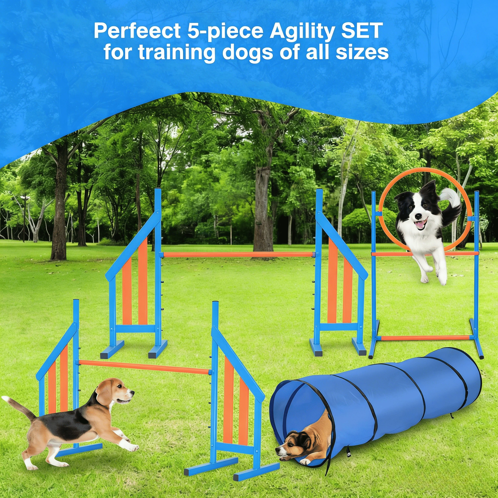 Set de agilidad para perros en jardín con obstáculos portátiles - imagen 5