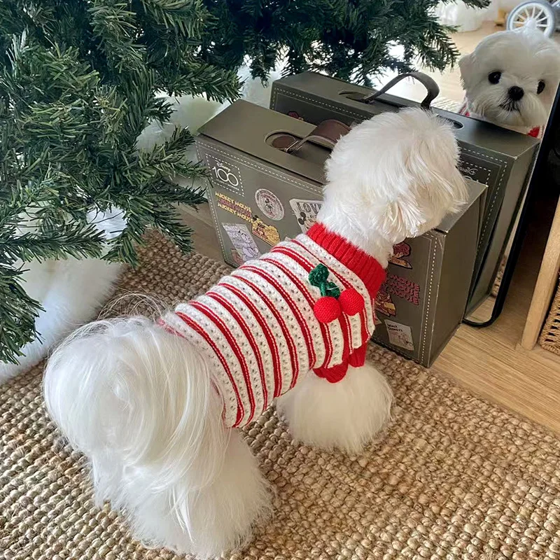Jersey de cerezas para perros pequeños y gatos – Otoño e invierno - imagen 2