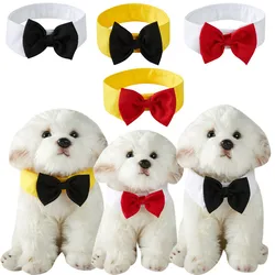 Pajarita para perros y gatos - accesorios de disfraz y bandana