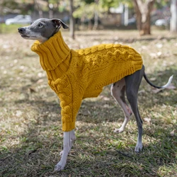 Suéter de cuello alto para galgo italiano y whippet – Cálido y elegante