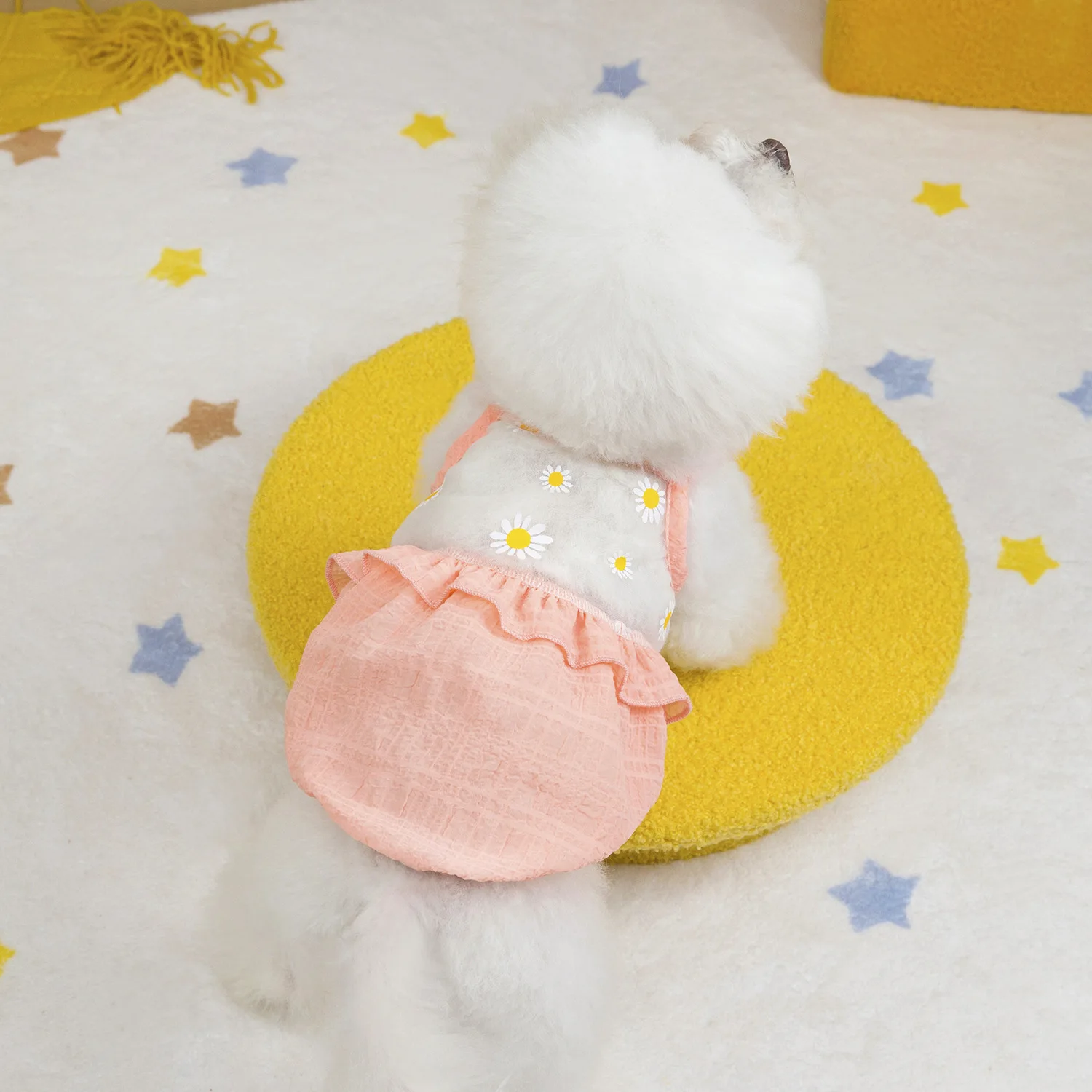 Chaleco de malla con flores bordadas para mascotas, ropa para gatos, falda con farol fresco para perros pequeños, ropa para cachorros, ropa para perros - imagen 3