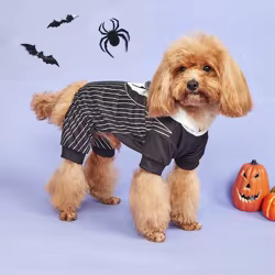 Mono con capucha para perros pequeños con cara de fantasma comodo