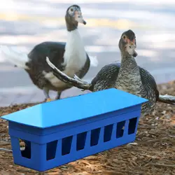 Comedero automático para palomas, patos y aves de corral