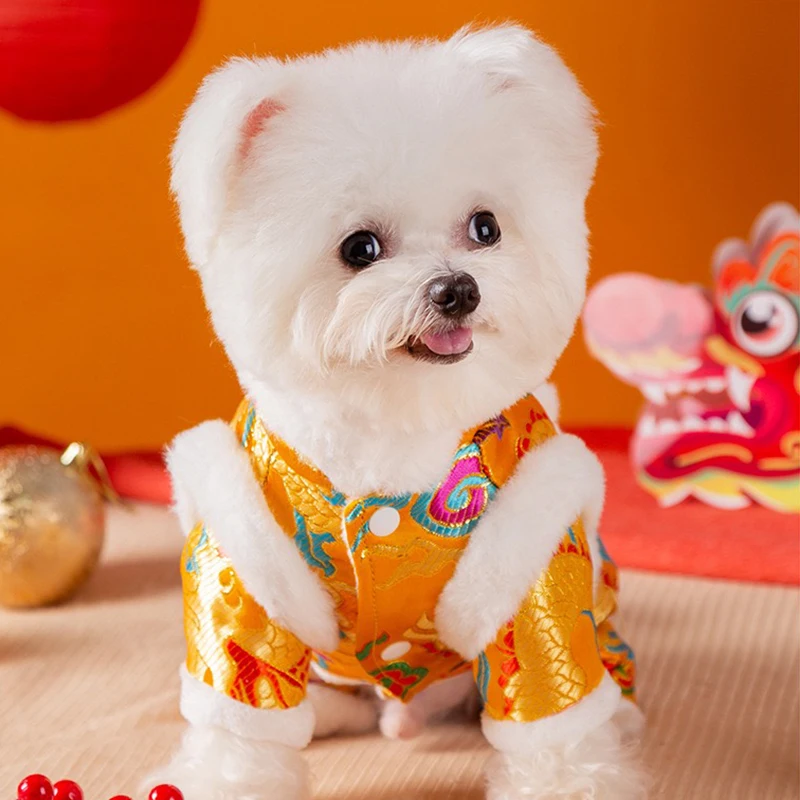 Los mejores deseos, ropa de Bulldog Francés, cuatro patas, dragón, Festival dorado, mascota, gato, equipo general, buena fortuna, abrigos antiguos para cachorros - imagen 3