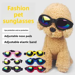 Gafas solares UV para perros – Plegables, ligeras y protectoras