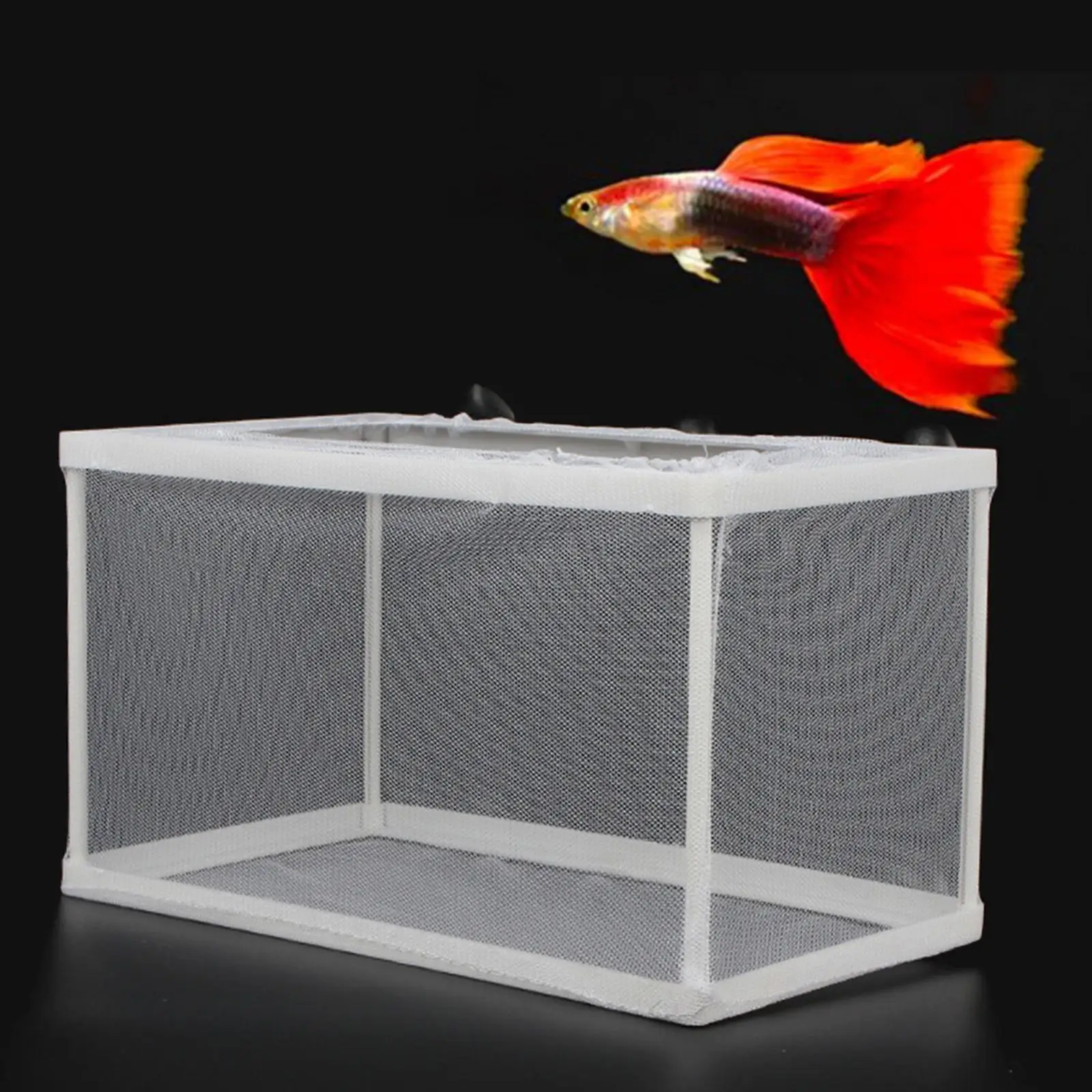 Caja de criadero de peces con ventosas, Red de aislamiento para incubar peces, peces agresivos, Guppy - imagen 3
