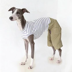 Mono de rayas algodón para Whippet y Galgo Italiano – Ropa primavera