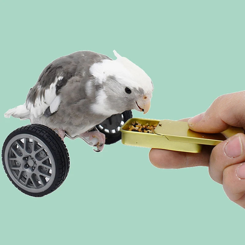 Bicicleta de equilibrio de entrenamiento para pájaros y loros, juguete interactivo, jaula para pájaros, cacatúas, suministros deportivos - imagen 4