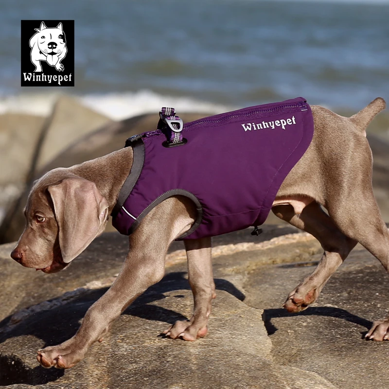 Winhyepet-chaqueta impermeable para perro, abrigo cálido de invierno, arnés con doble cremallera, reflectante, cortavientos, ropa de lujo para perros - imagen 2
