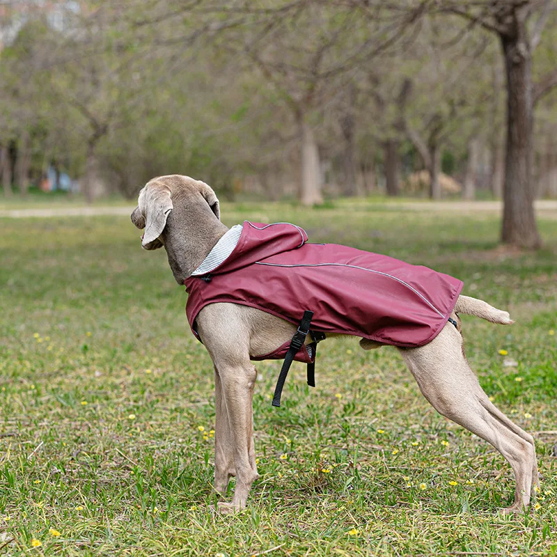 Chubasquero para perros medianos y grandes, chaqueta de lluvia suave de PU para perros, traje impermeable reflectante ajustable con capucha para mascotas para galgo Husky - imagen 3