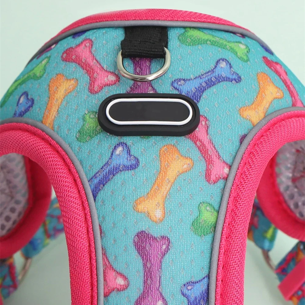 Conjunto de arnés y correa para perro, chaleco duradero de malla transpirable para perros pequeños, Yorkshire, Chihuahua, arnés para perro - imagen 5