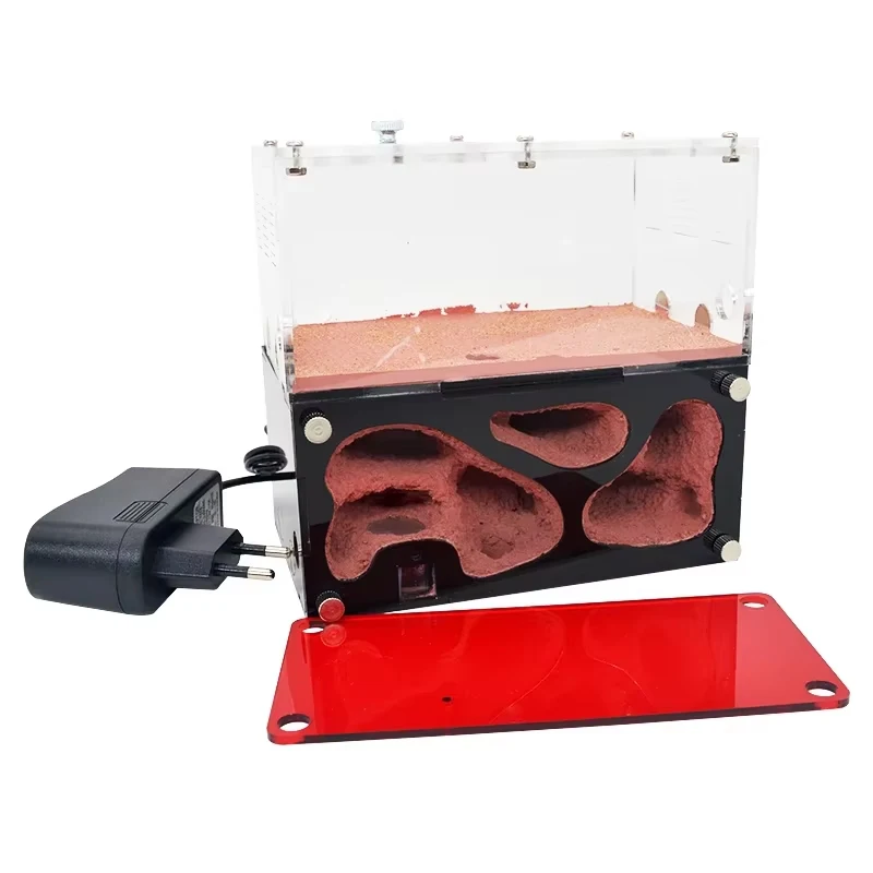 Control de temperatura de granja de hormigas acrílicas, nido de hormigas de hormigón, expansión infinita, casa de insectos, bebedero de colonias, Kit de accesorios - imagen 2