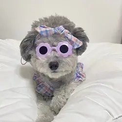 Gafas de sol con forma de girasol para perros y gatos