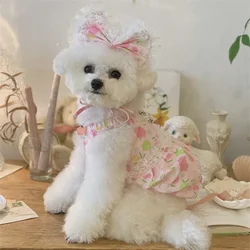 Vestido floral para perro pequeño – Conjunto verano con sombrero